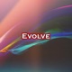 Evolve Single
