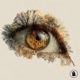 brown eyes Single