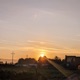morning sun Single
