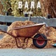 Bara feat Foxx Single