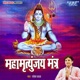 Mahamrityunjay Mantra Single