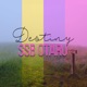Destiny Single