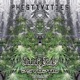 Phestivities Single