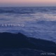 Anything Single