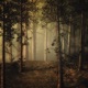 Secret Path Single