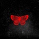 Butterflies Single
