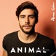 Animal Acoustic Version Single