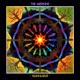 The Medicine Single