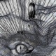 MELIORA