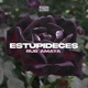 Estupideces Single