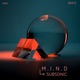Subsonic Single
