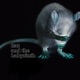 Rat and the Labyrinth Single