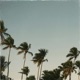 Light Breeze Single
