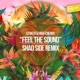 Feel the Sound Shad Side Remix Single