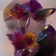 Glass Flowers