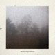Winter Depression Single