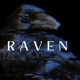 RAVEN Single