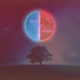 Day N Night Single