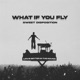 What If You Fly Sweet Disposition Single