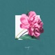 Endless Love Single