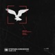Hawk Eye Single