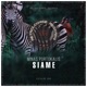 Siame Single