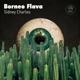 Borneo Flava EP