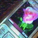 Time to Love Single