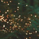 Firefly