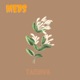 Meds Single