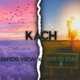 Birds View Here to Stay Single