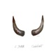 Golden Cow feat C Jamm DJ SQ Single