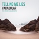 Telling Me Lies Extended Mix Single