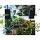 Greenhouse a B Single