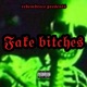 Fake Bitches Single
