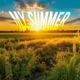 My summer Single