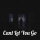 Cant Let You Go Single
