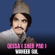 Qessa Sher Pao