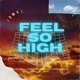 Feel So High feat Forst19 Single
