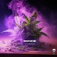 Bonne WEED Single