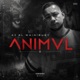 Animal aj ft navy feat Navy Single
