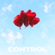 Control Single
