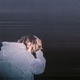Wasted On You Single