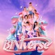BINIverse EP