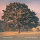 The Old Oak Tree Single