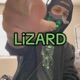 LiZARD LiZARD Single