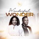 Wonderful Wonder Single feat EBEN Single