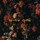 Tigi Nor2os feat Scratch Single