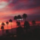 Summer Breeze Single