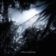 I keep on reaching EP